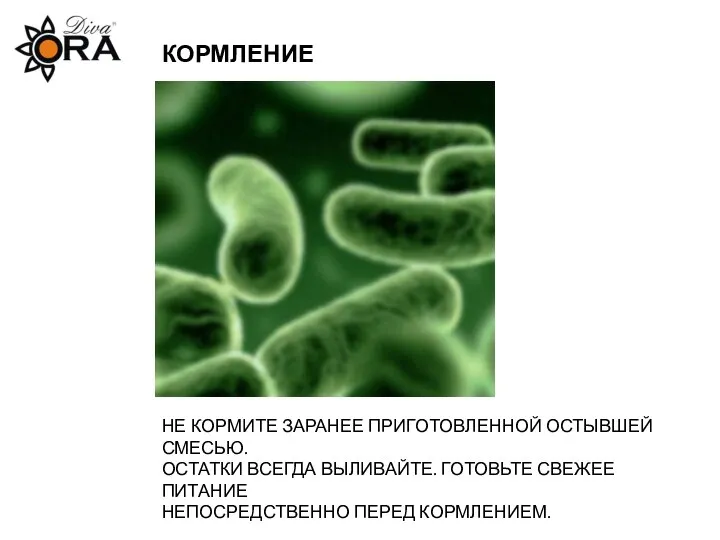 КОРМЛЕНИЕ НЕ КОРМИТЕ ЗАРАНЕЕ ПРИГОТОВЛЕННОЙ ОСТЫВШЕЙ СМЕСЬЮ. ОСТАТКИ ВСЕГДА ВЫЛИВАЙТЕ. ГОТОВЬТЕ СВЕЖЕЕ ПИТАНИЕ НЕПОСРЕДСТВЕННО ПЕРЕД КОРМЛЕНИЕМ.