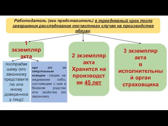 Работодатель (его представитель) в трехдневный срок после завершения расследования несчастного случая