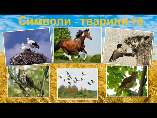 Символи - тварини та птахи