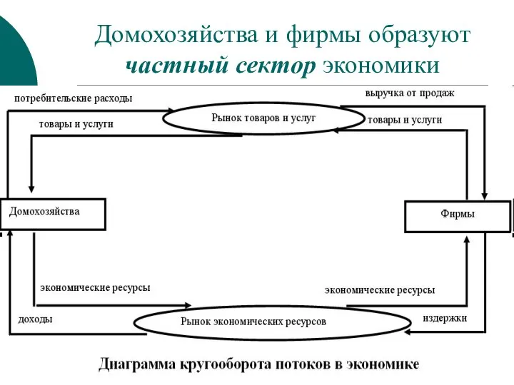 Домохозяйства и фирмы образуют частный сектор экономики