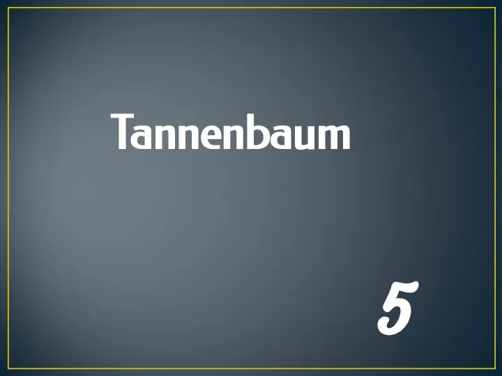 Tannenbaum 5