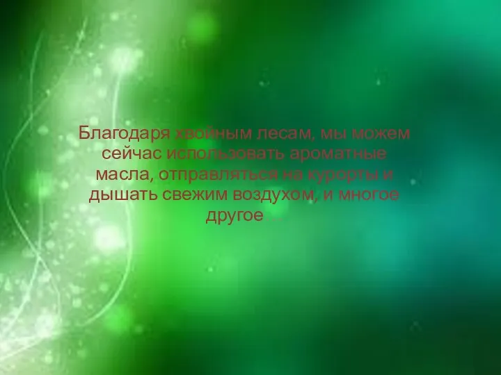 Благодаря хвойным лесам, мы можем сейчас использовать ароматные масла, отправляться на