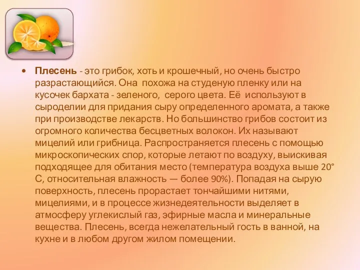 Плесень - это грибок, хоть и крошечный, но очень быстро разрастающийся.