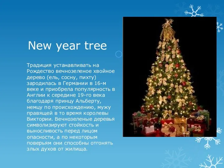 New year tree Традиция устанавливать на Рождество вечнозеленое хвойное дерево (ель,