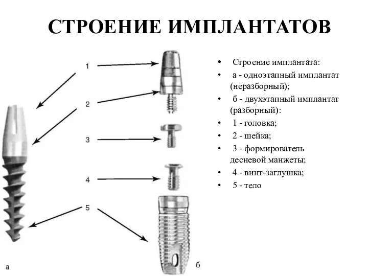 СТРОЕНИЕ ИМПЛАНТАТОВ Строение имплантата: а - одноэтапный имплантат (неразборный); б -