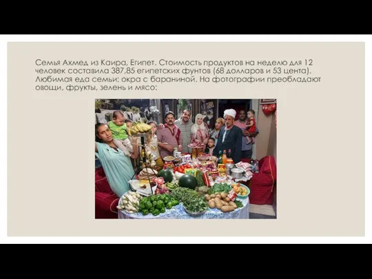 Семья Ахмед из Каира, Египет. Стоимость продуктов на неделю для 12