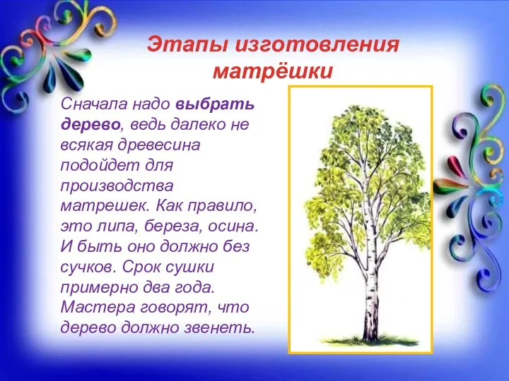 Этапы изготовления матрёшки Сначала надо выбрать дерево, ведь далеко не всякая