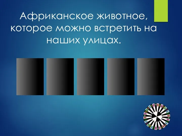 А Р Б Е З Африканское животное, которое можно встретить на наших улицах.