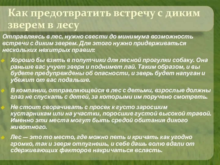 Как предотвратить встречу с диким зверем в лесу Отправляясь в лес,