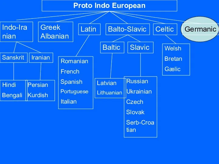 Proto Indo European Germanic Celtic Balto-Slavic Latin Greek Albanian Indo-Iranian Russian