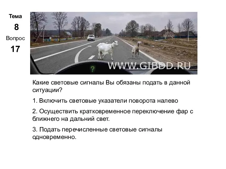 Тема 8 Вопрос 17 Метар. Панченко Какие световые сигналы Вы обязаны