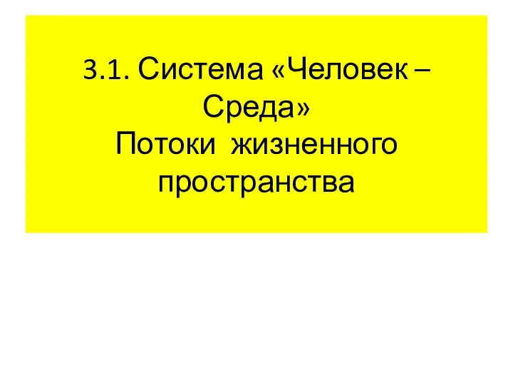 3.1. Система «Человек – Среда» Потоки жизненного пространства