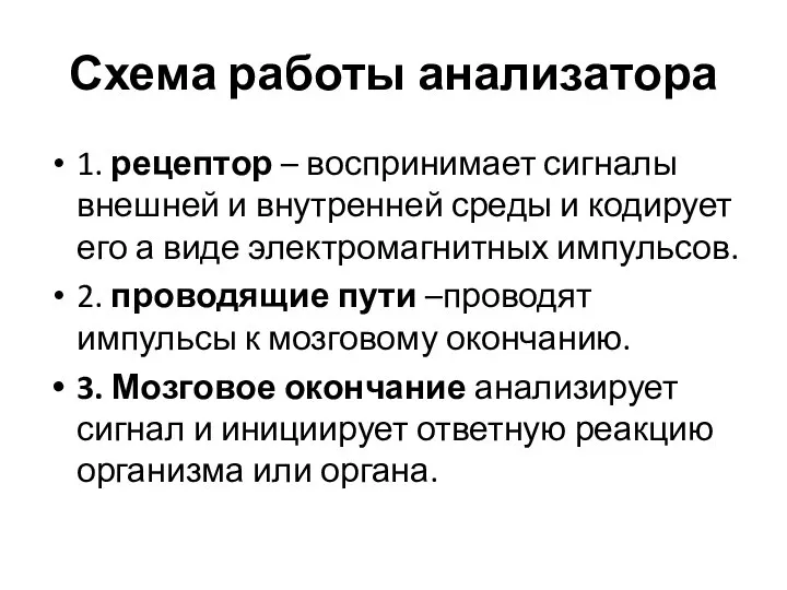 Схема работы анализатора 1. рецептор – воспринимает сигналы внешней и внутренней