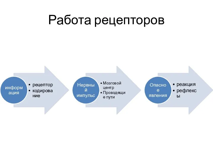 Работа рецепторов