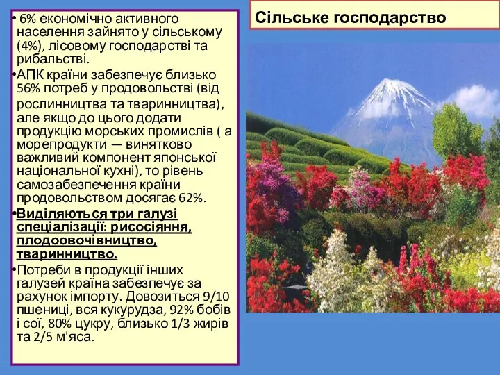 Сільське господарство 6% економічно активного населення зайнято у сільському (4%), лісовому