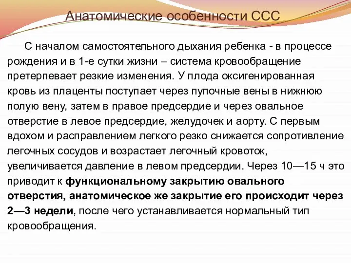 Анатомические особенности ССС С началом самостоятельного дыхания ребенка - в процессе