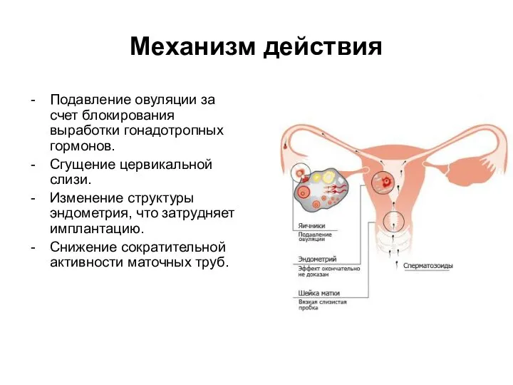 Механизм действия - Подавление овуляции за счет блокирования выработки гонадотропных гормонов.