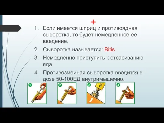 + Если имеется шприц и противоядная сыворотка, то будет немедленное ее