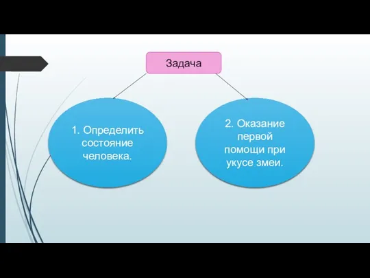 1. Определить состояние человека. 2. Оказание первой помощи при укусе змеи. Задача