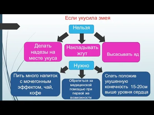 Если укусила змея Нельзя Нужно Накладывать жгут Высасывать яд Делать надезы