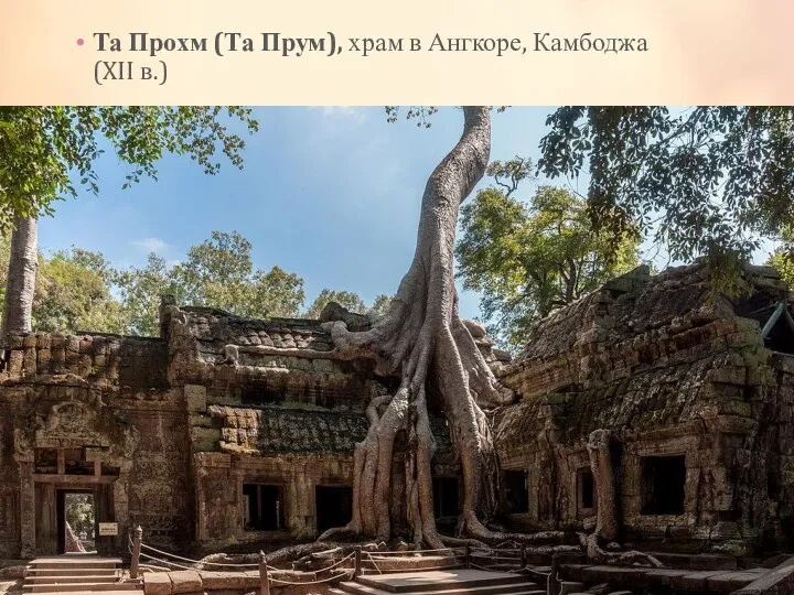 Та Прохм (Та Прум), храм в Ангкоре, Камбоджа (XII в.)