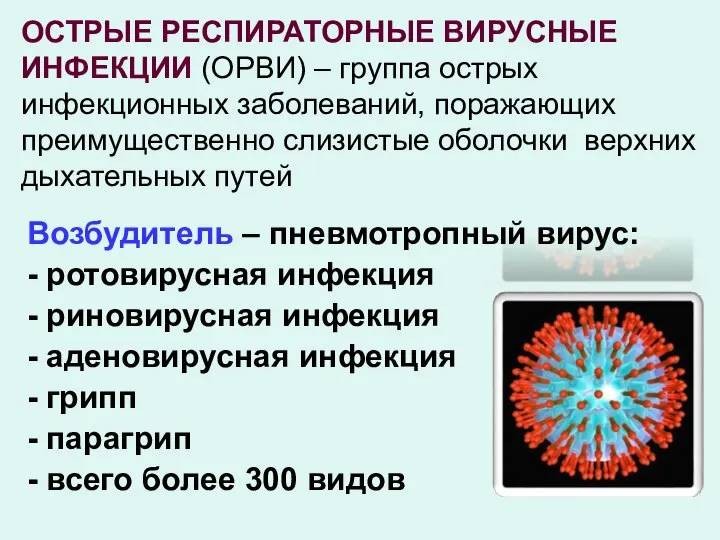 ОСТРЫЕ РЕСПИРАТОРНЫЕ ВИРУСНЫЕ ИНФЕКЦИИ (ОРВИ) – группа острых инфекционных заболеваний, поражающих