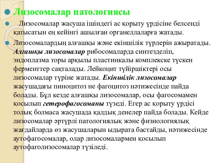 Лизосомалар патологиясы Лизосомалар жасуша ішіндегі ас қорыту үрдісіне белсенді қатысатын ең