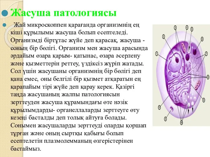 Жасуша патологиясы Жай микроскоппен қарағанда организмнің ең кіші құрылымы жасуша болып