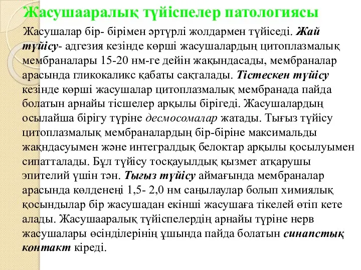 Жасушааралық түйіспелер патологиясы Жасушалар бір- бірімен әртүрлі жолдармен түйіседі. Жай түйісу-