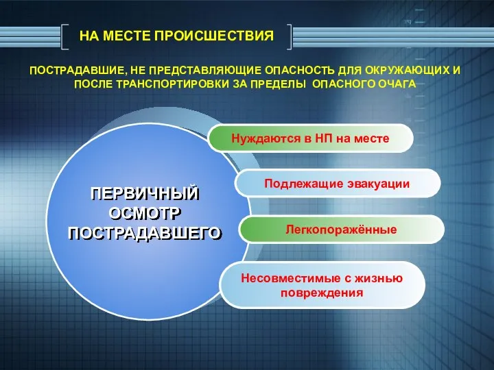 НА МЕСТЕ ПРОИСШЕСТВИЯ Нуждаются в НП на месте Подлежащие эвакуации Легкопоражённые