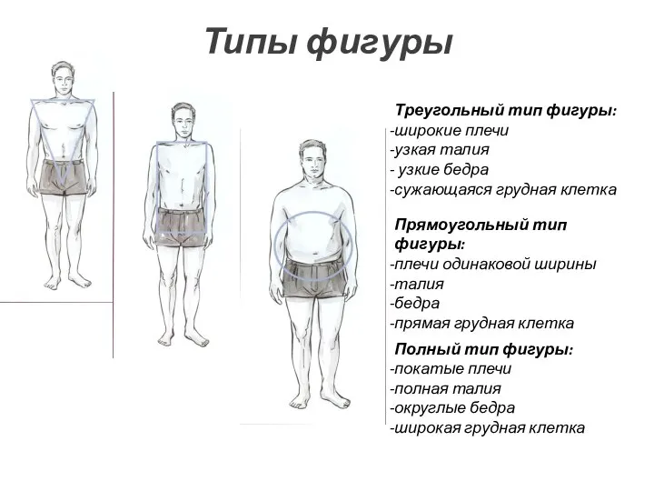 Типы фигуры