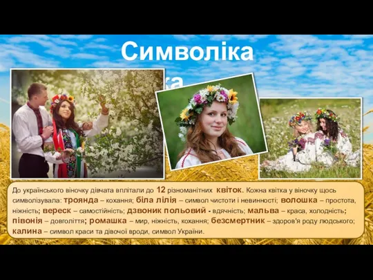 До українського віночку дівчата вплітали до 12 різноманітних квіток. Кожна квітка