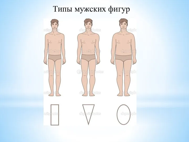 Типы мужских фигур