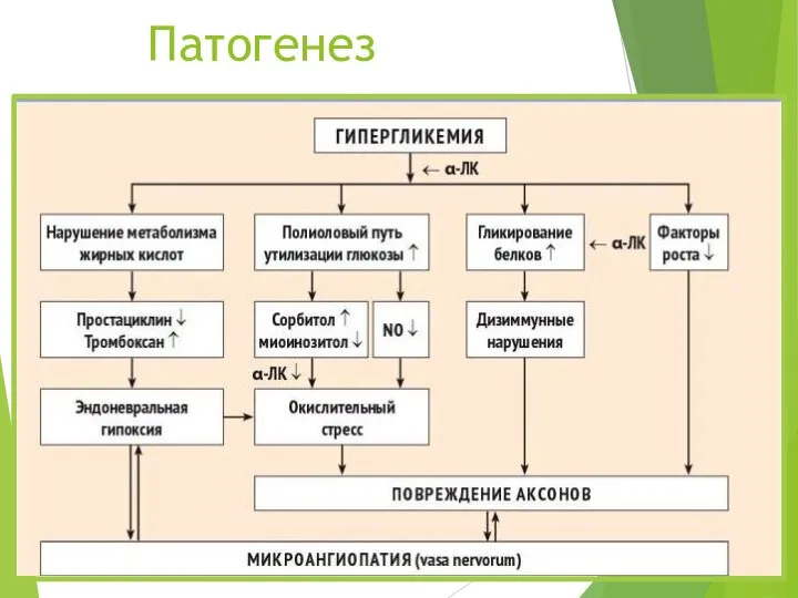 Патогенез