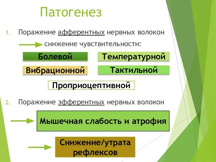 Поражение афферентных нервных волокон снижение чувствительности: Поражение эфферентных нервных волокон Вибрационной