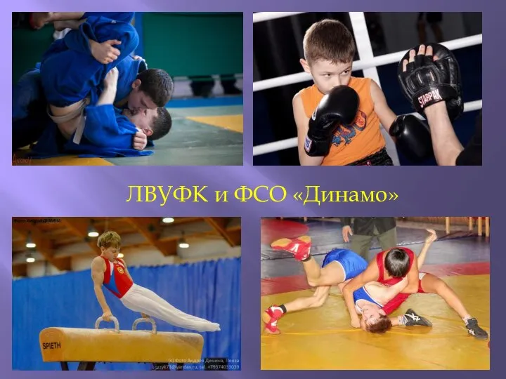 ЛВУФК и ФСО «Динамо»