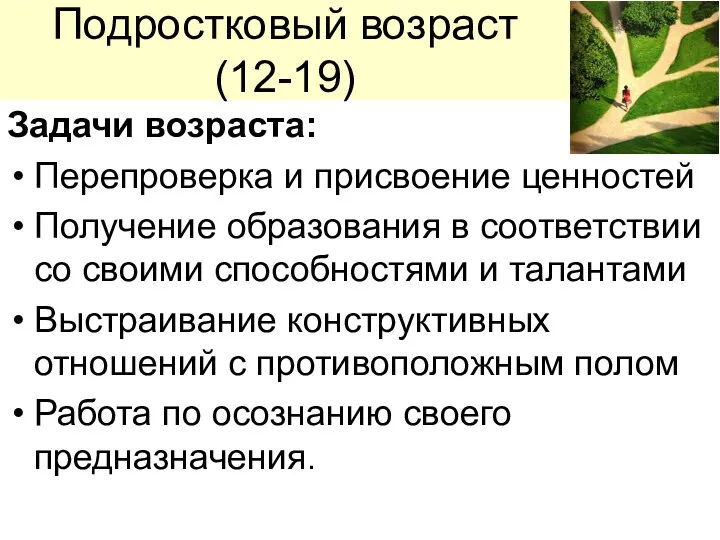 Подростковый возраст (12-19) Задачи возраста: Перепроверка и присвоение ценностей Получение образования