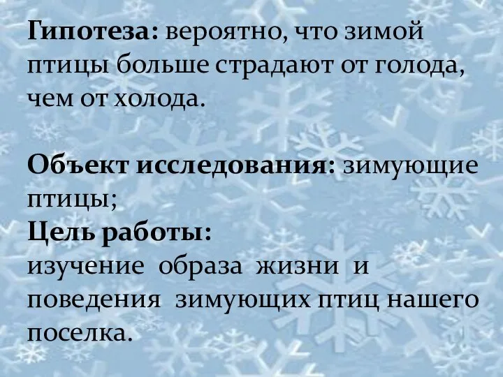 Гипотеза: вероятно, что зимой птицы больше страдают от голода, чем от