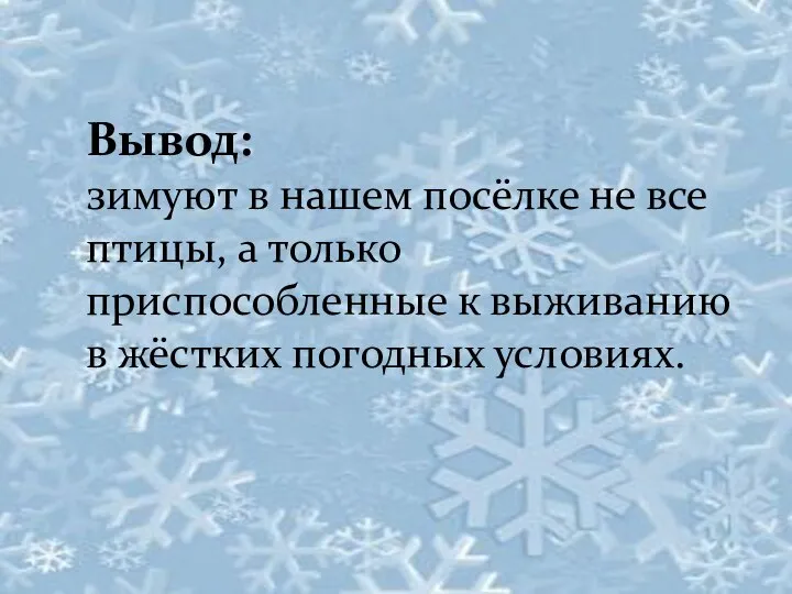 Вывод: зимуют в нашем посёлке не все птицы, а только приспособленные