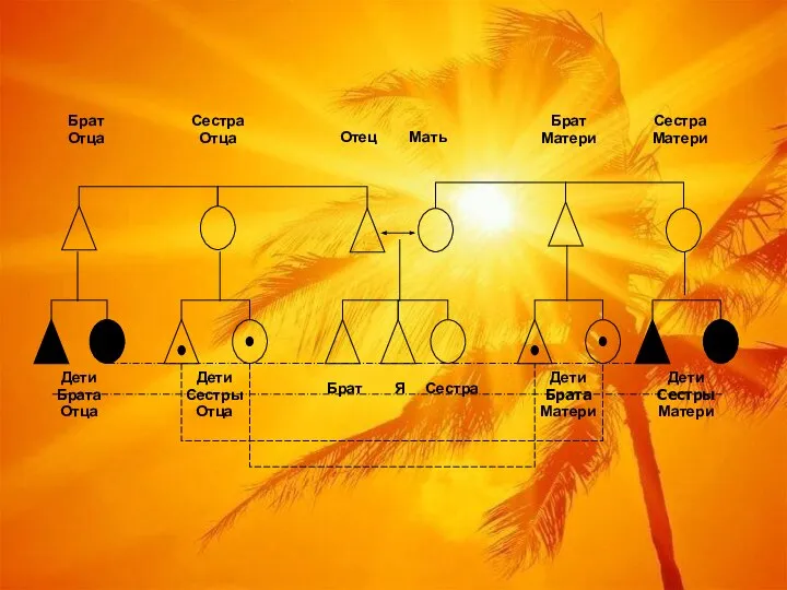Отец Мать Брат Сестра Я Сестра Отца Брат Отца Сестра Матери