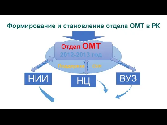 Поддержка CSIH тренинги НИИ тренинги тренинги Критическая масса специалистов ОМТ в