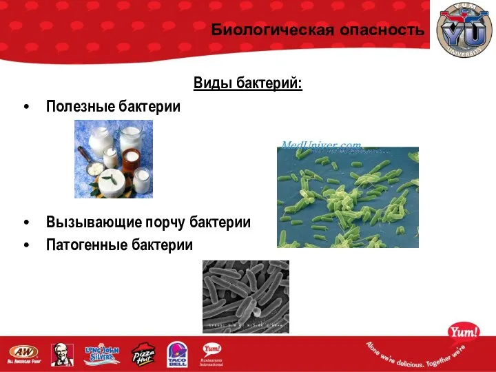 Биологическая опасность Виды бактерий: Полезные бактерии Вызывающие порчу бактерии Патогенные бактерии