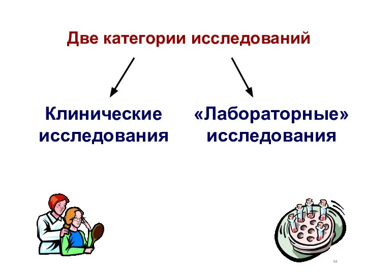 Две категории исследований Клинические исследования «Лабораторные» исследования