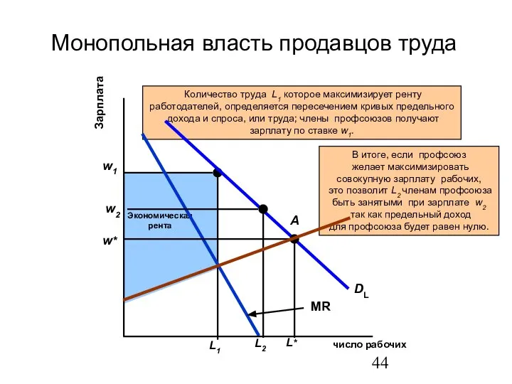 SL DL MR Монопольная власть продавцов труда число рабочих Зарплата A L* w*