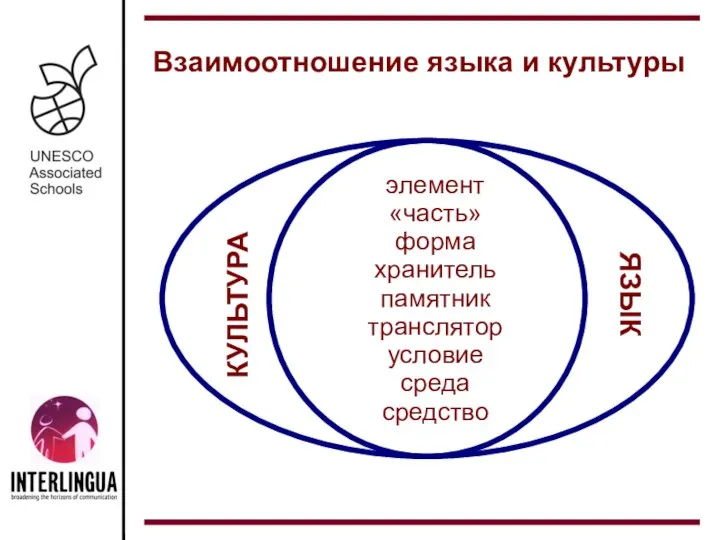 Взаимоотношение языка и культуры