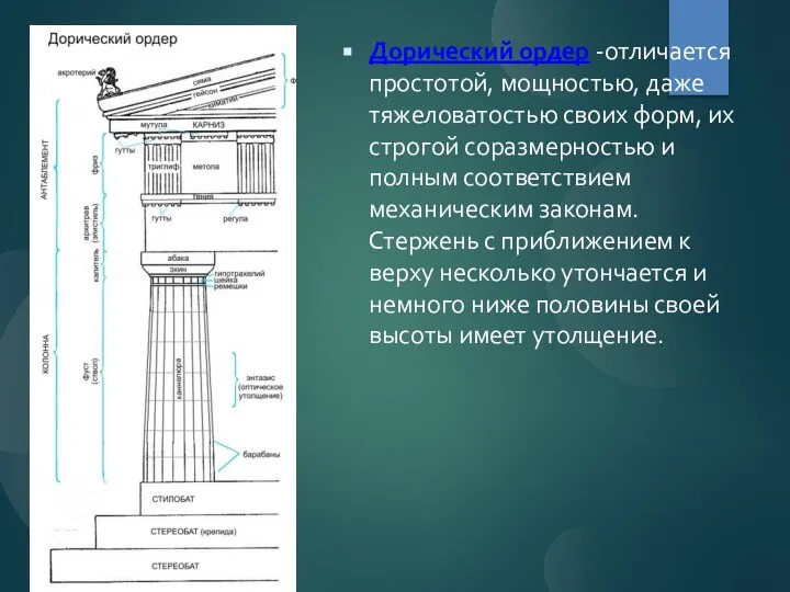 Дорический ордер -отличается простотой, мощностью, даже тяжеловатостью своих форм, их строгой