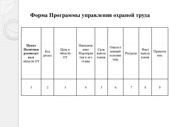 Форма Программы управления охраной труда