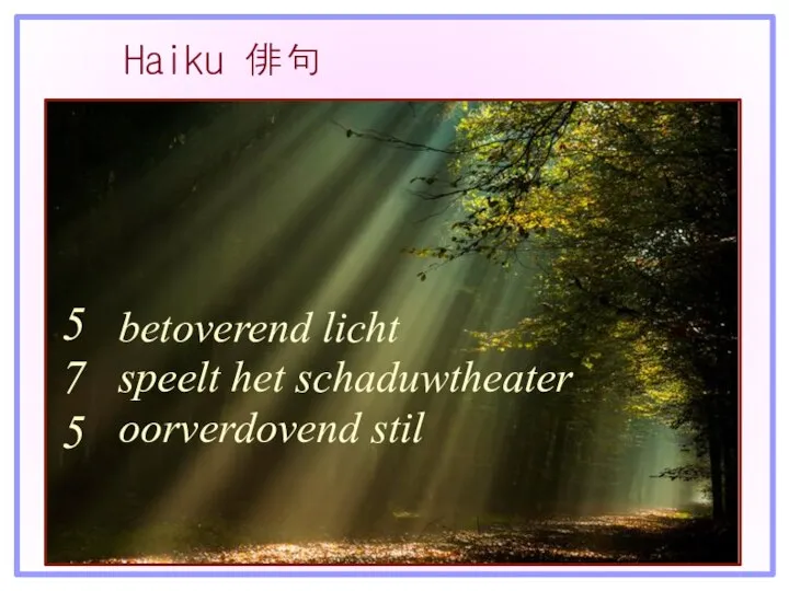 Haiku 俳句 betoverend licht speelt het schaduwtheater oorverdovend stil 5 7 5