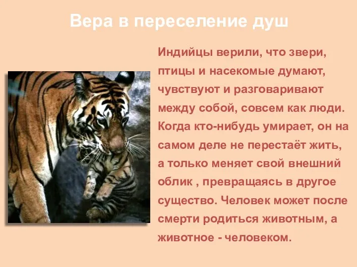 Вера в переселение душ Индийцы верили, что звери, птицы и насекомые