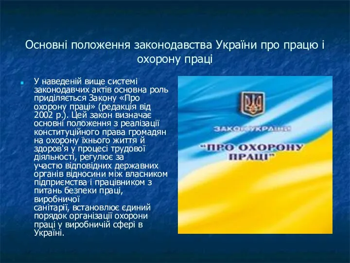 Основні положення законодавства України про працю і охорону праці У наведеній